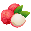 Lychee