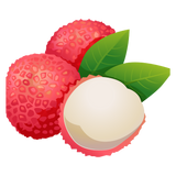 Lychee