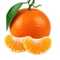 Mandarin