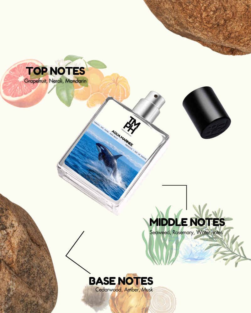 Marine Aura Elixir - WH Inspired perfume | TMPerfumehouse
