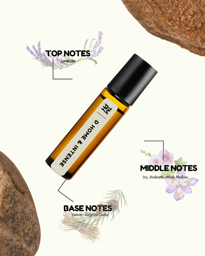 D Homme & Intense AT