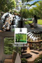 PDEM Green Valley - Inspired Perfume | TMPerfumehouse