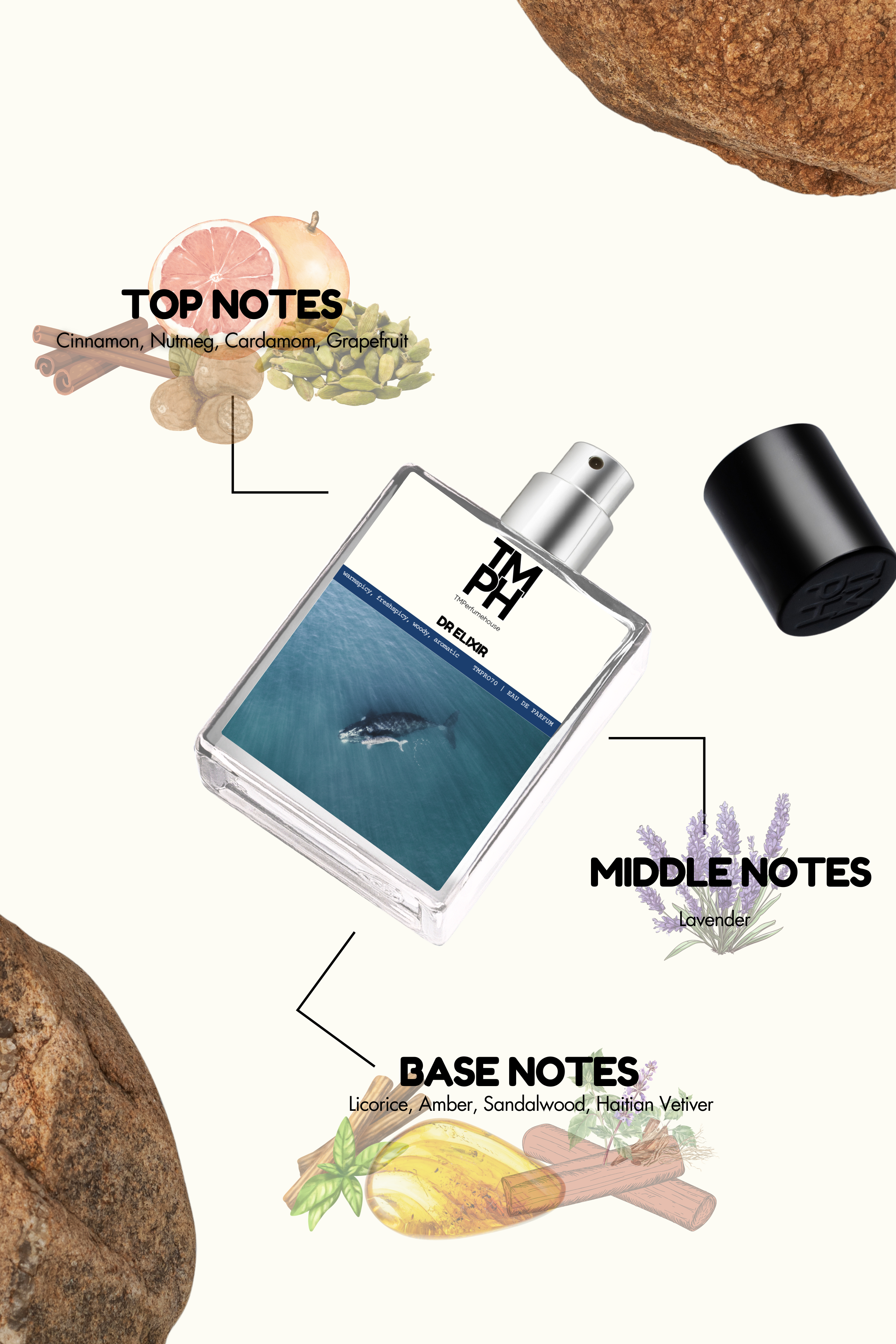 DR Elixir - Inspired perfume | TMPerfumehouse