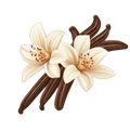 Vanilla