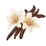 Vanilla