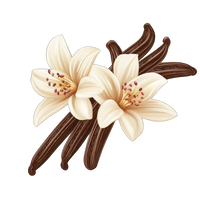 Vanilla