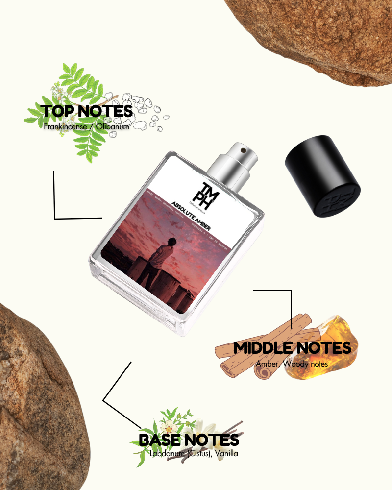 Absolute Amber – Inspired Perfume | TMPerfumehouse