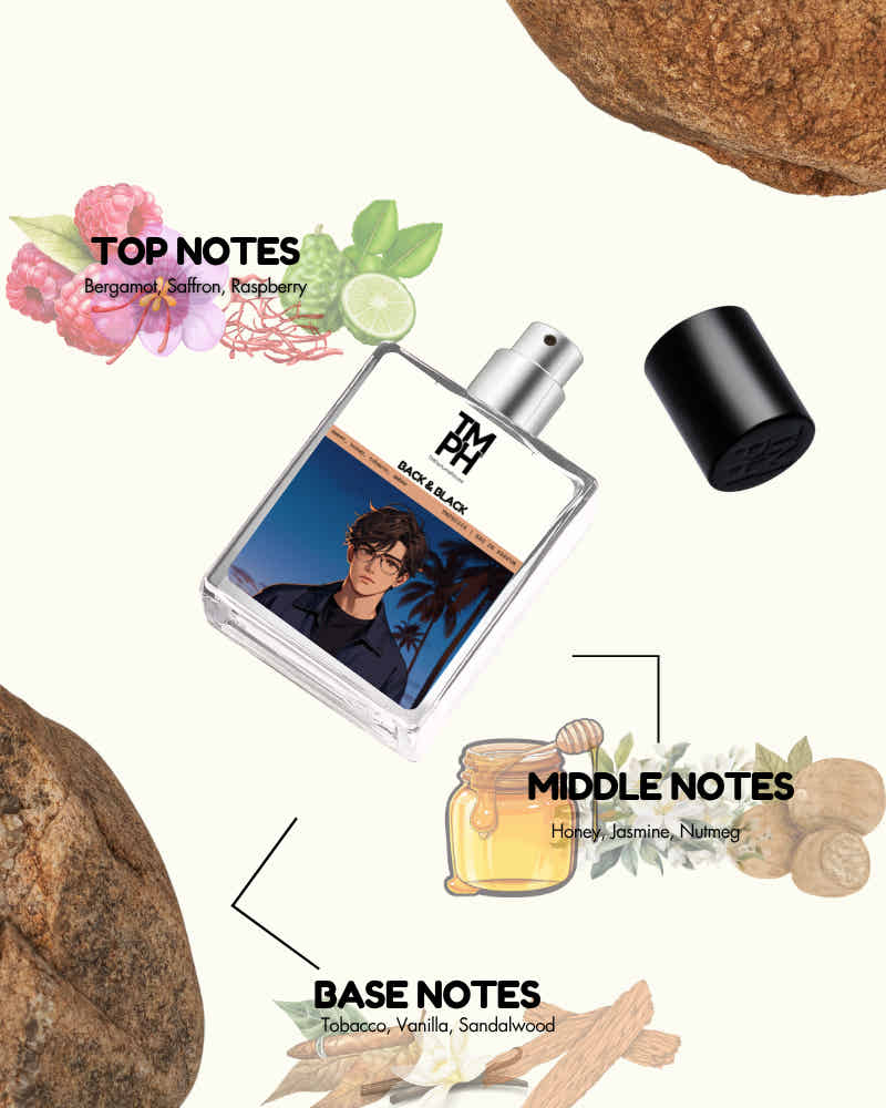 Back & Black - Inspired Perfume | TMPerfumehouse