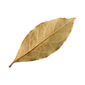 bay leaf