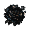 black rose 