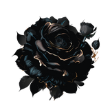 black rose 