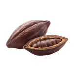 cacao 