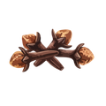 clove