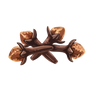 clove