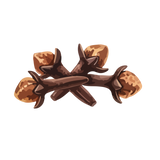 clove