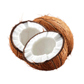 coconut