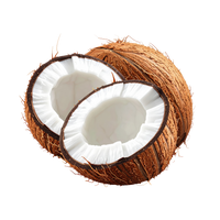 coconut