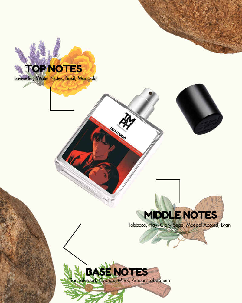 DC Intenso – Inspired perfume | TMPerfumehouse