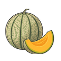 melon