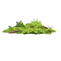 moss