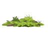 moss