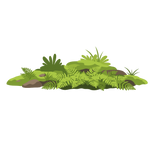 moss