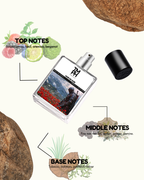 Noir du 2 Mystère - DG Inspired perfume | TMPerfumehouse