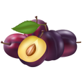 plum