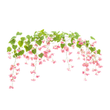 rangoor creeper