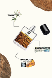 Rasa & Elixir - Inspired perfume | TMPerfumehouse