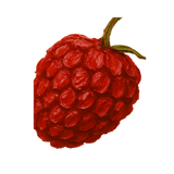 raspberry