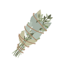 sage