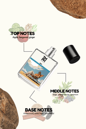 Why -  Inspired perfume | TMPerfumehouse